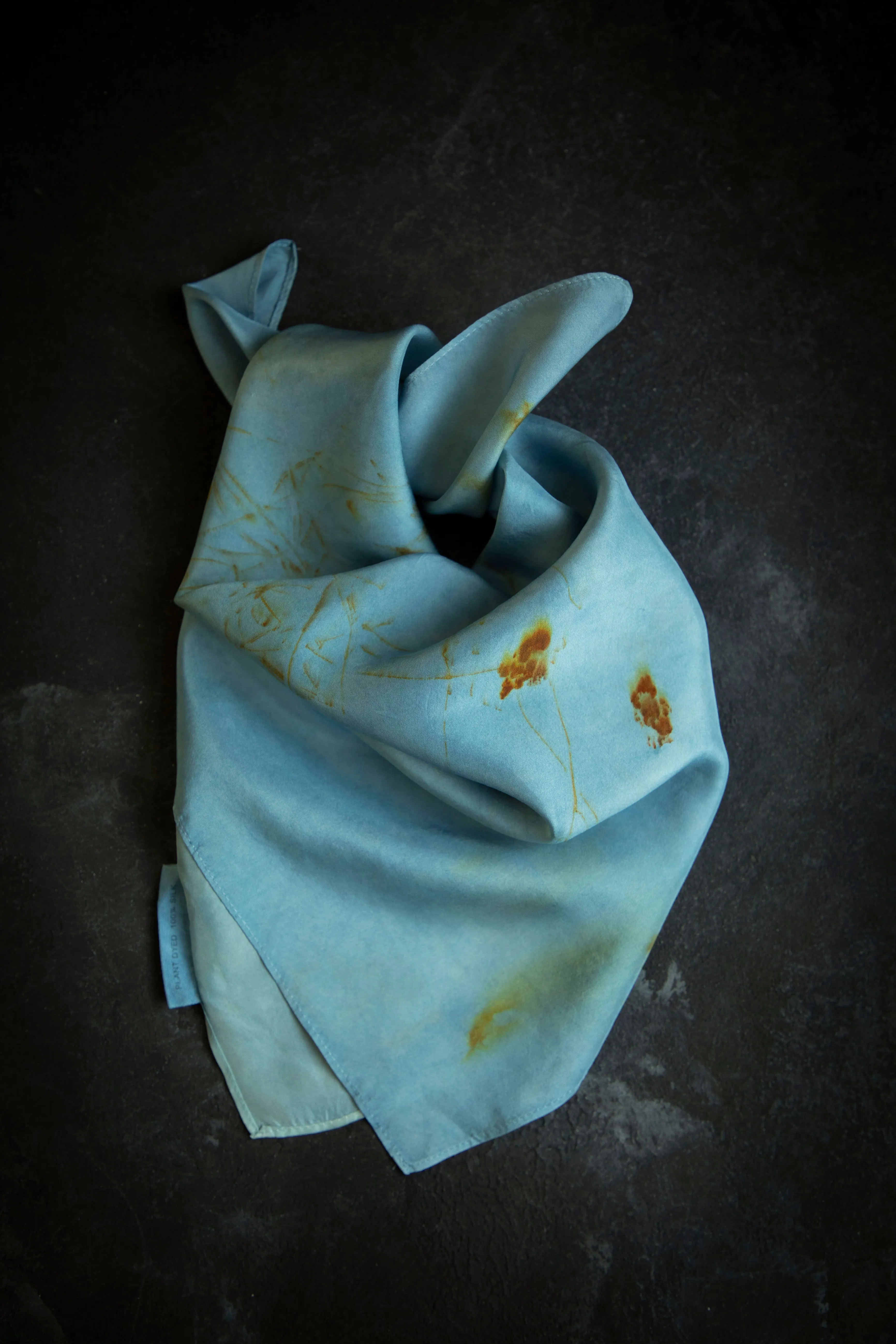 Original Eco-Print Silk Scarf 20 x 20" {Indigo Coreopsis}